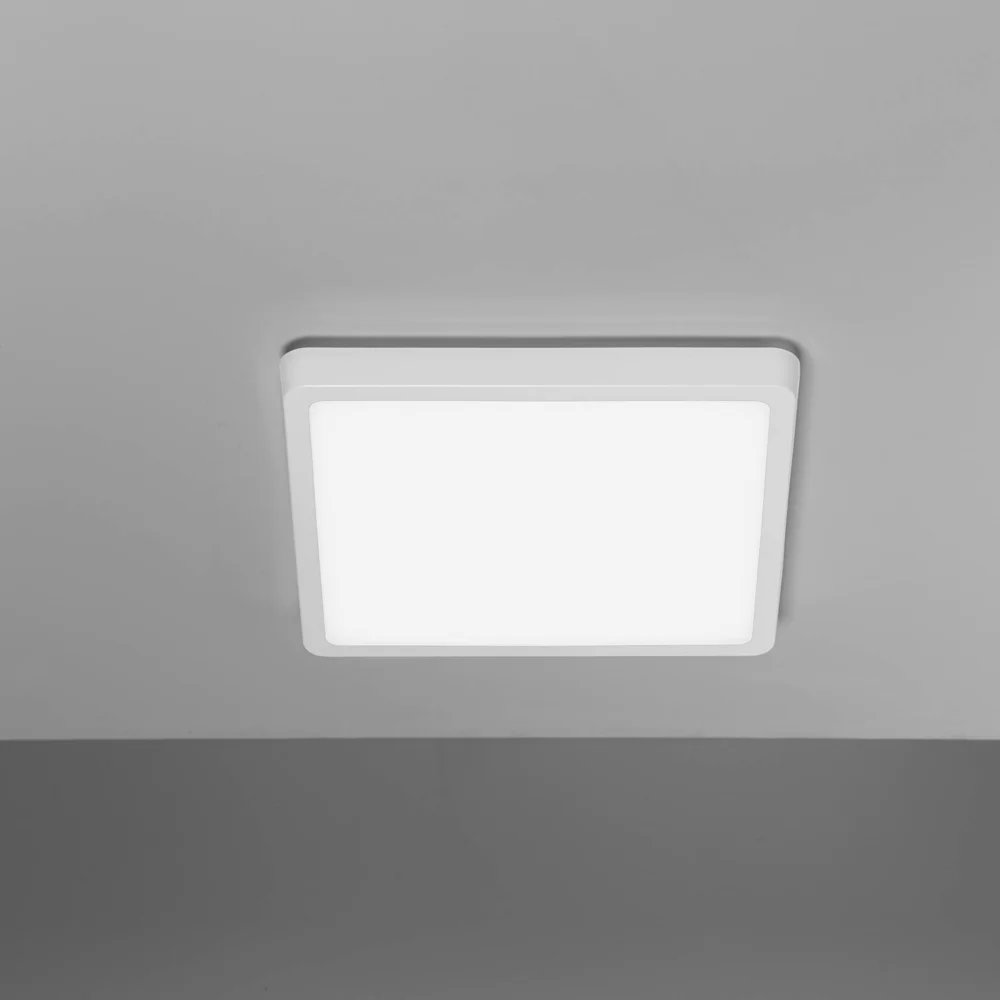 Nobile PLI